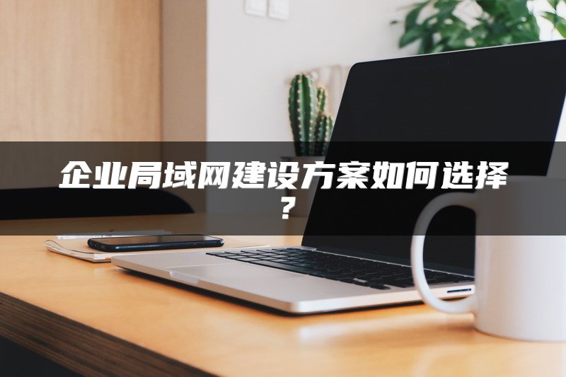 企业局域网建设方案如何选择？
