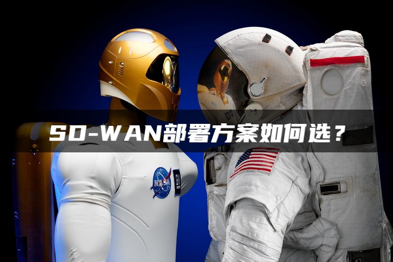 SD-WAN部署方案如何选？