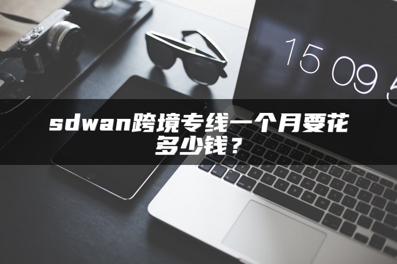 sdwan跨境专线一个月要花多少钱？