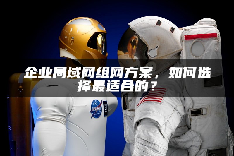 企业局域网组网方案，如何选择最适合的？