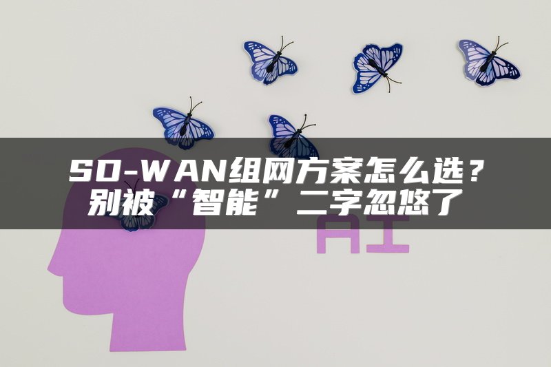 SD-WAN组网方案怎么选？别被“智能”二字忽悠了