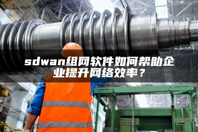 sdwan组网软件如何帮助企业提升网络效率？