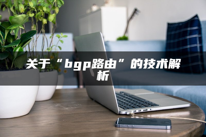 关于“bgp路由”的技术解析