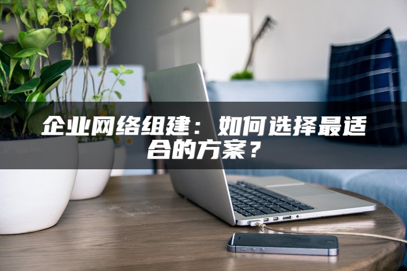 企业网络组建:如何选择最适合的方案?