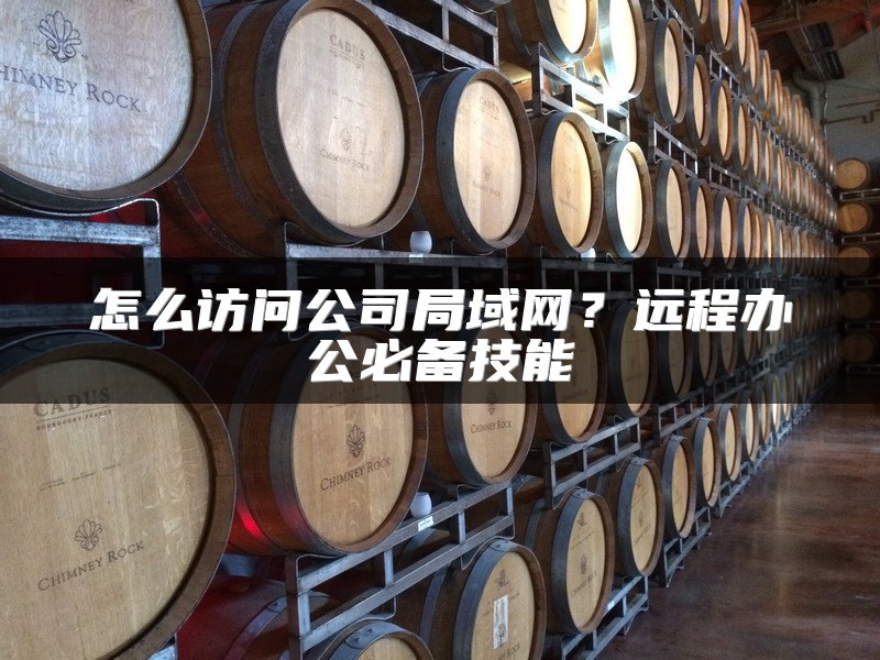 怎么访问公司局域网？远程办公必备技能