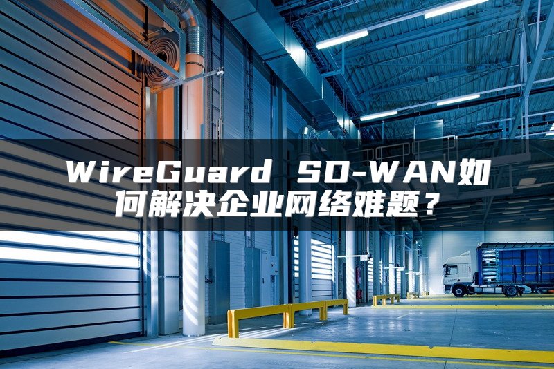 WireGuard SD-WAN如何解决企业网络难题?