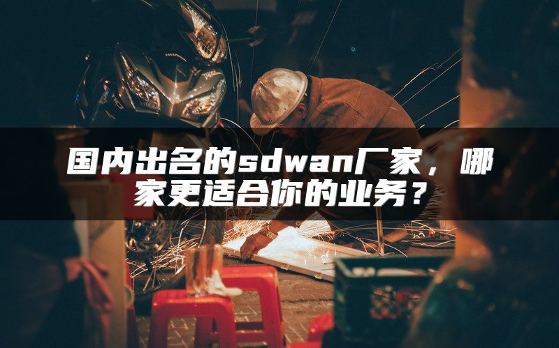 国内出名的sdwan厂家，哪家更适合你的业务？