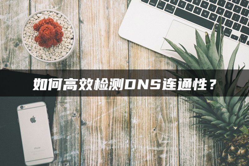 如何高效检测DNS连通性？