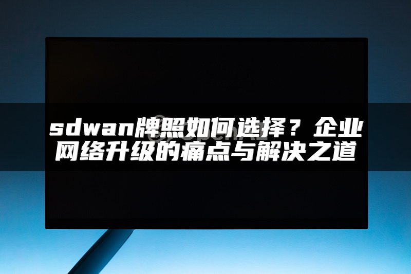 sdwan牌照如何选择？企业网络升级的痛点与解决之道
