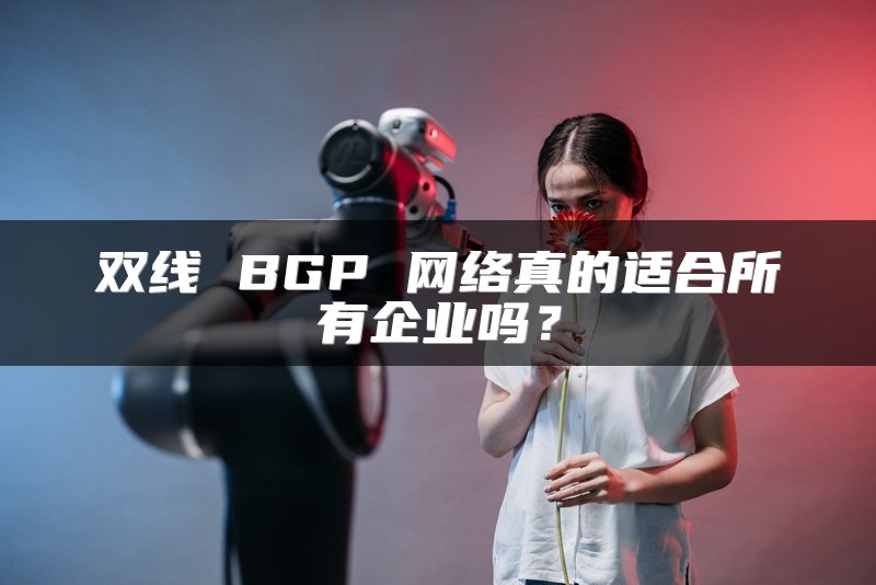 双线 BGP 网络真的适合所有企业吗？