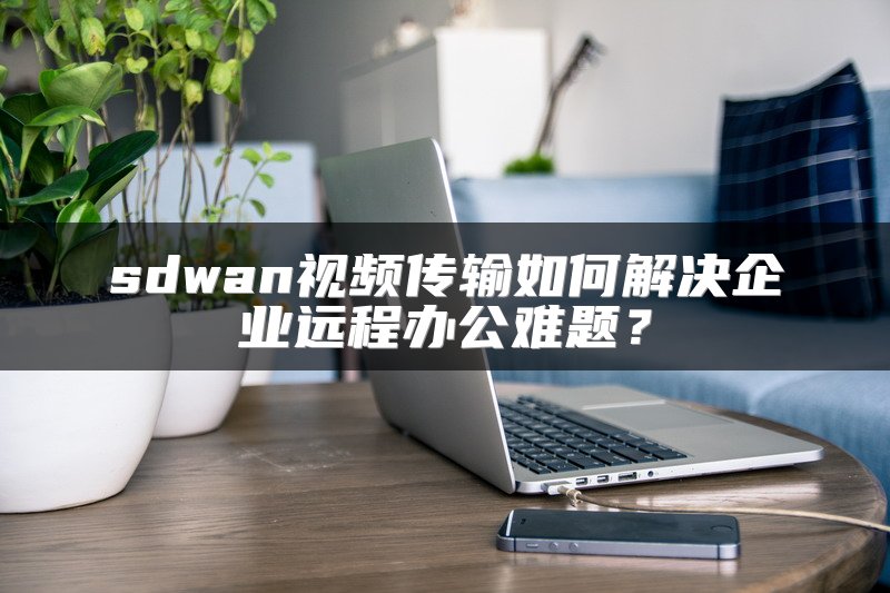 sdwan视频传输如何解决企业远程办公难题?