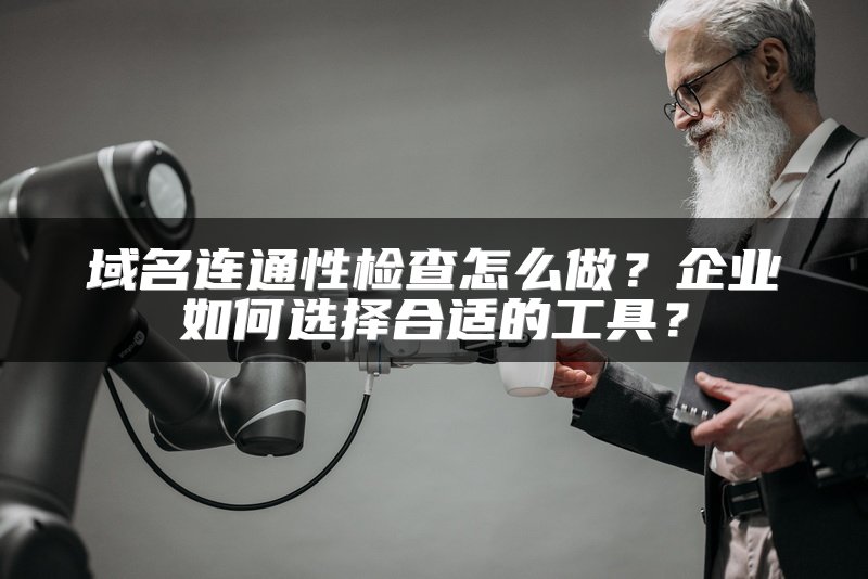 域名连通性检查怎么做？企业如何选择合适的工具？