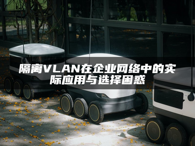 隔离VLAN在企业网络中的实际应用与选择困惑