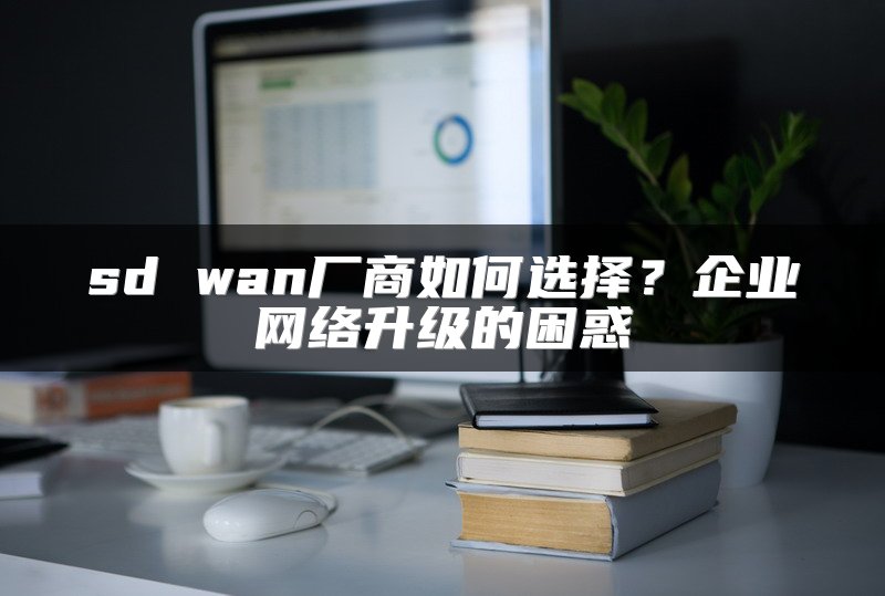 sd wan厂商如何选择？企业网络升级的困惑