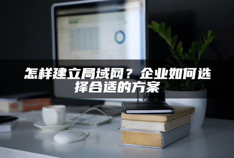 怎样建立局域网？企业如何选择合适的方案