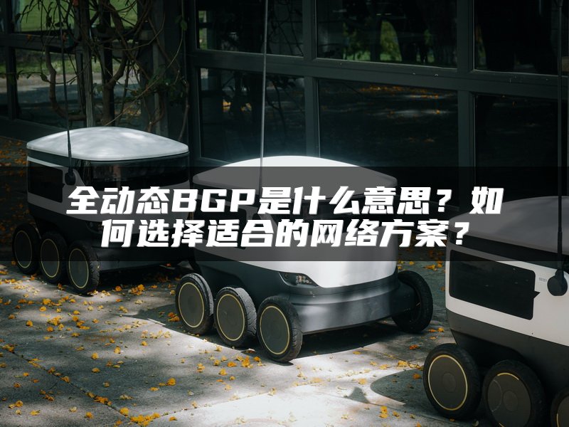 全动态BGP是什么意思？如何选择适合的网络方案？