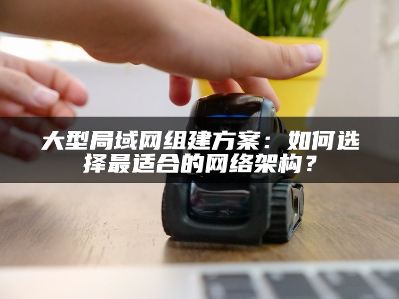 大型局域网组建方案：如何选择最适合的网络架构？