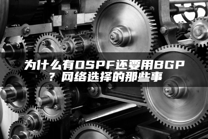 为什么有OSPF还要用BGP？网络选择的那些事