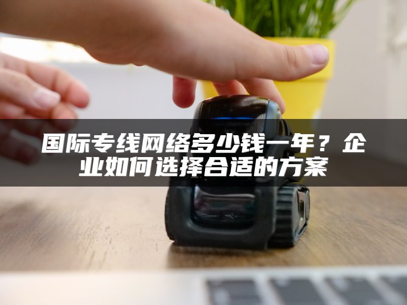 国际专线网络多少钱一年？企业如何选择合适的方案