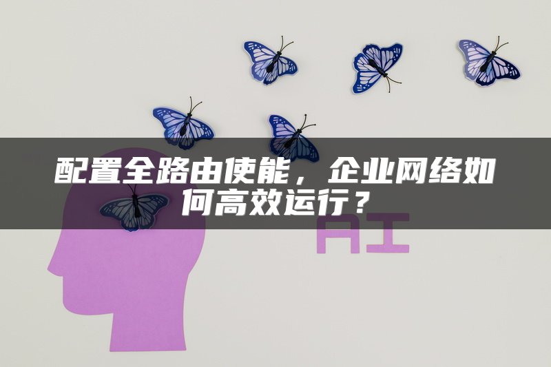 配置全路由使能，企业网络如何高效运行？