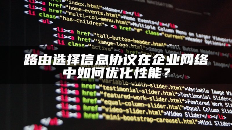 路由选择信息协议在企业网络中如何优化性能?