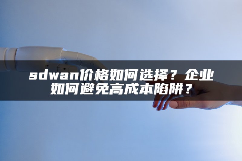 sdwan价格如何选择?企业如何避免高成本陷阱?