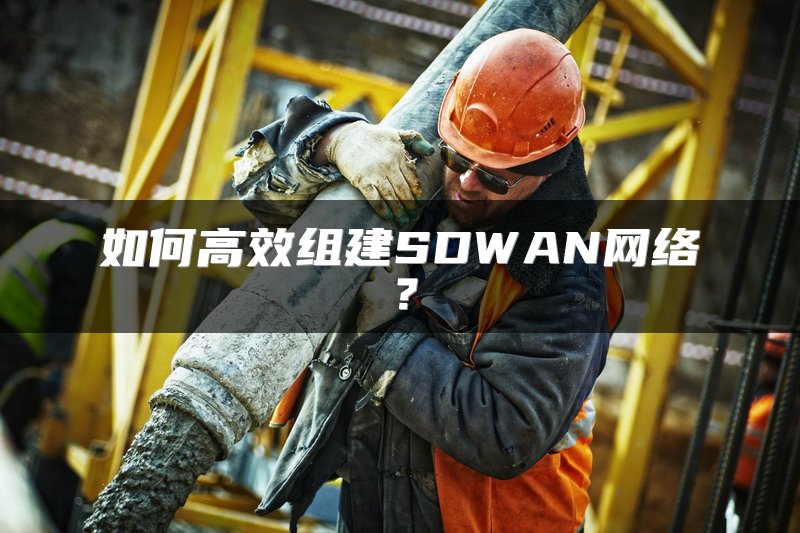 如何高效组建SDWAN网络？
