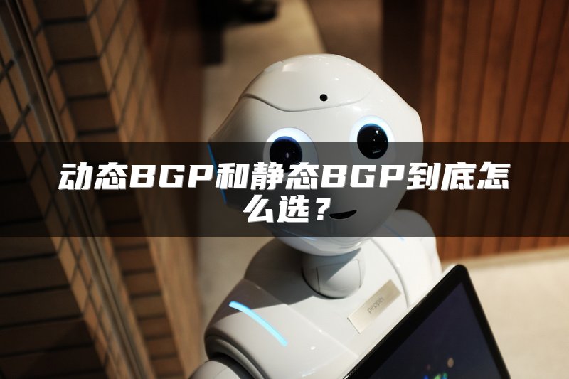 动态BGP和静态BGP到底怎么选？