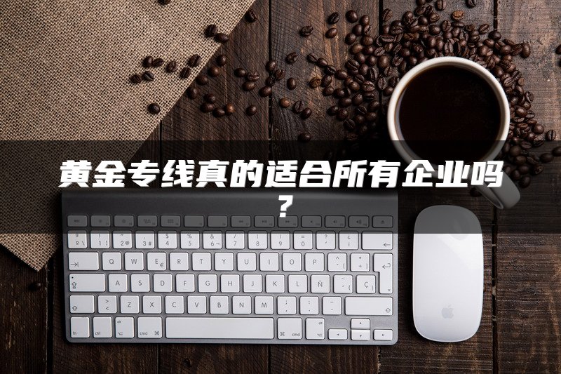 黄金专线真的适合所有企业吗？