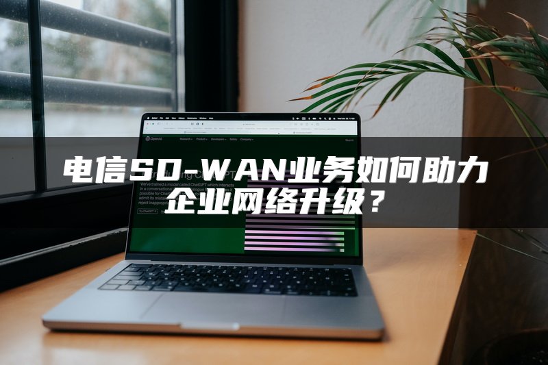 电信SD-WAN业务如何助力企业网络升级？