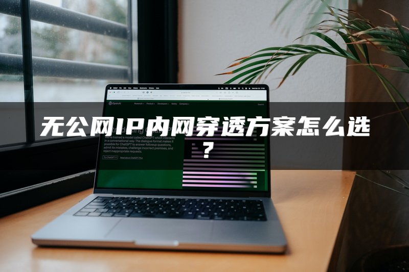 无公网IP内网穿透方案怎么选?