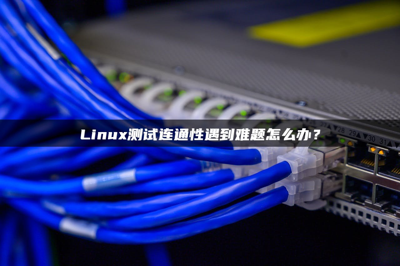Linux测试连通性遇到难题怎么办？