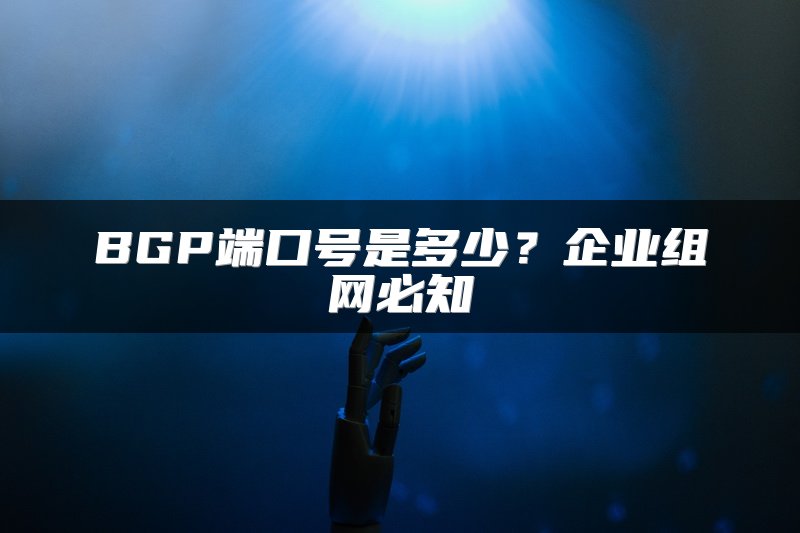 BGP端口号是多少？企业组网必知