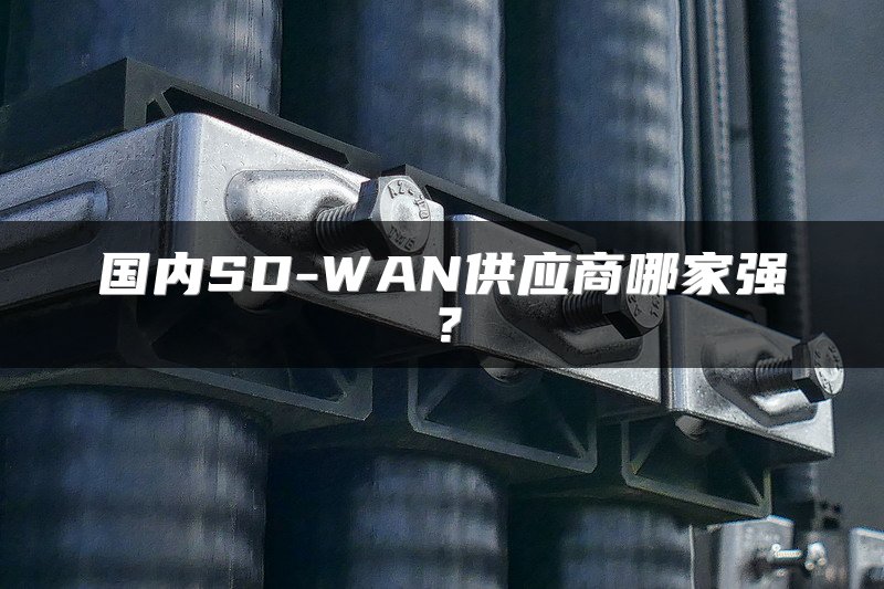 国内SD-WAN供应商哪家强？