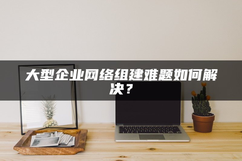 大型企业网络组建难题如何解决？