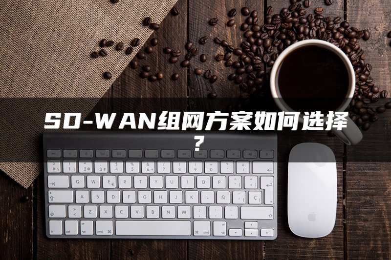 SD-WAN组网方案如何选择？