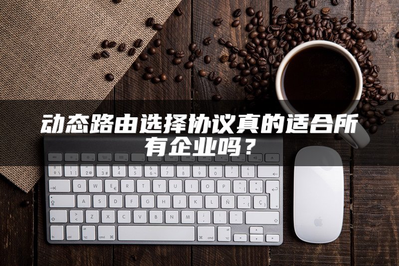 动态路由选择协议真的适合所有企业吗？