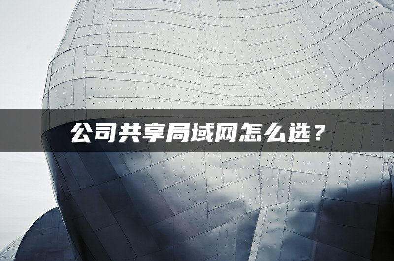公司共享局域网怎么选？