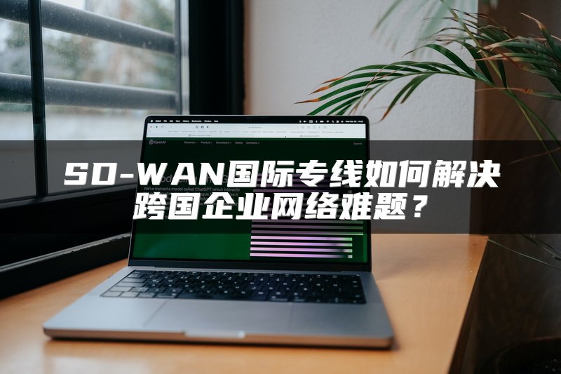 SD-WAN国际专线如何解决跨国企业网络难题？