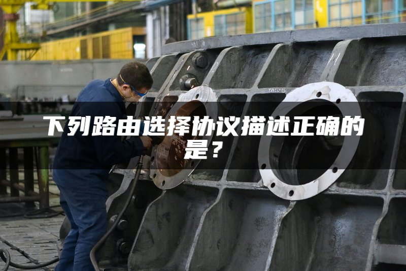 下列路由选择协议描述正确的是？