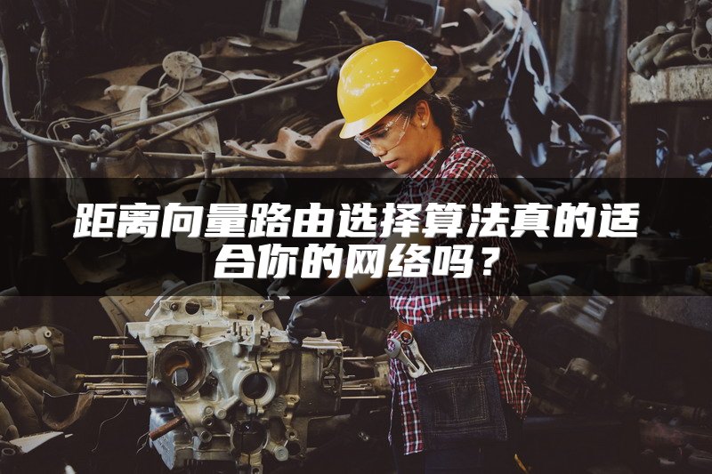 距离向量路由选择算法真的适合你的网络吗?