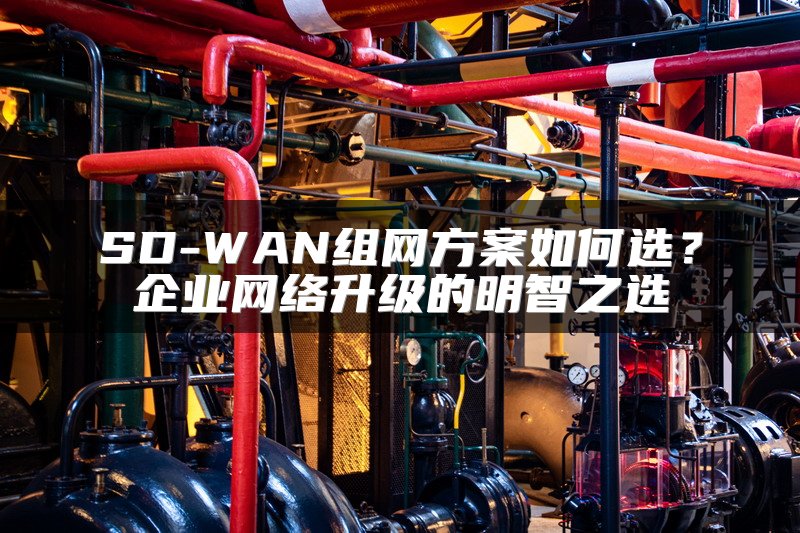 SD-WAN组网方案如何选？企业网络升级的明智之选