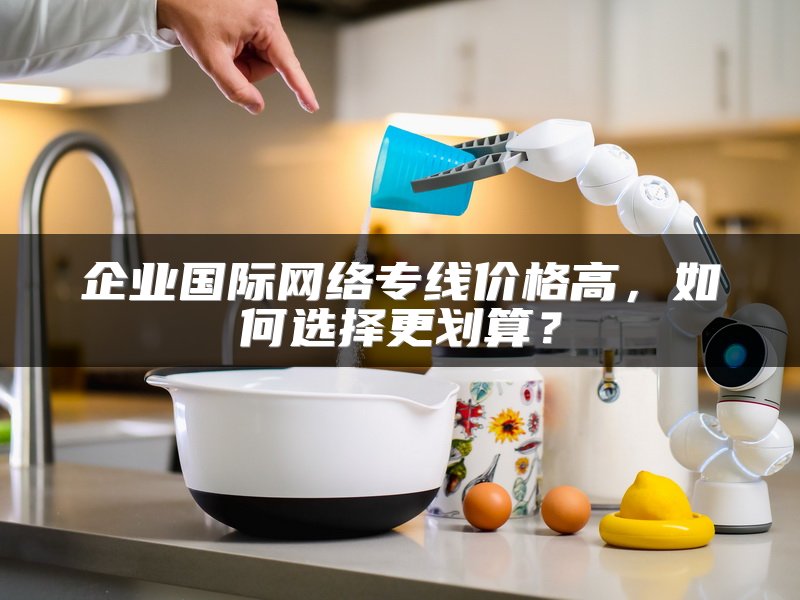 企业国际网络专线价格高，如何选择更划算？