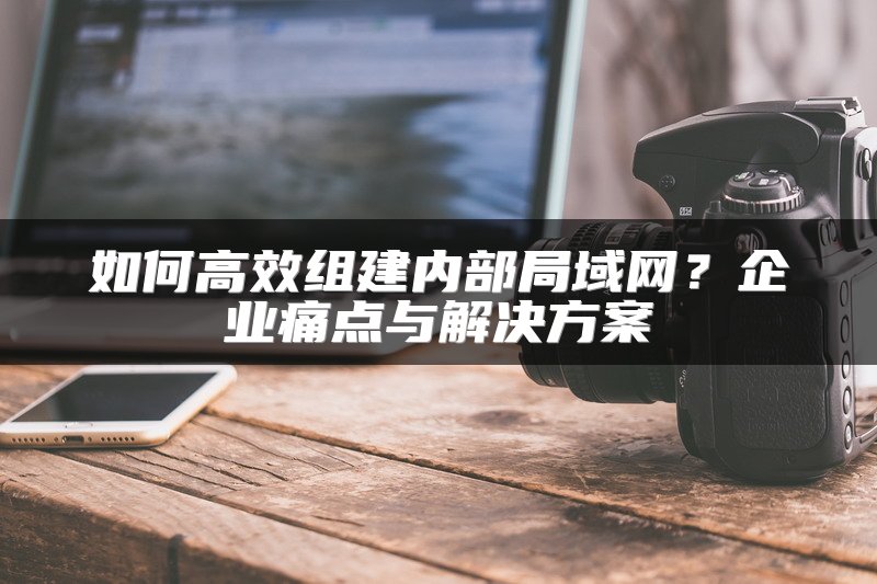 如何高效组建内部局域网？企业痛点与解决方案