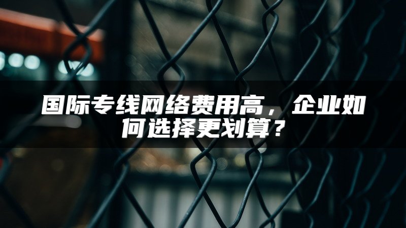 国际专线网络费用高，企业如何选择更划算？