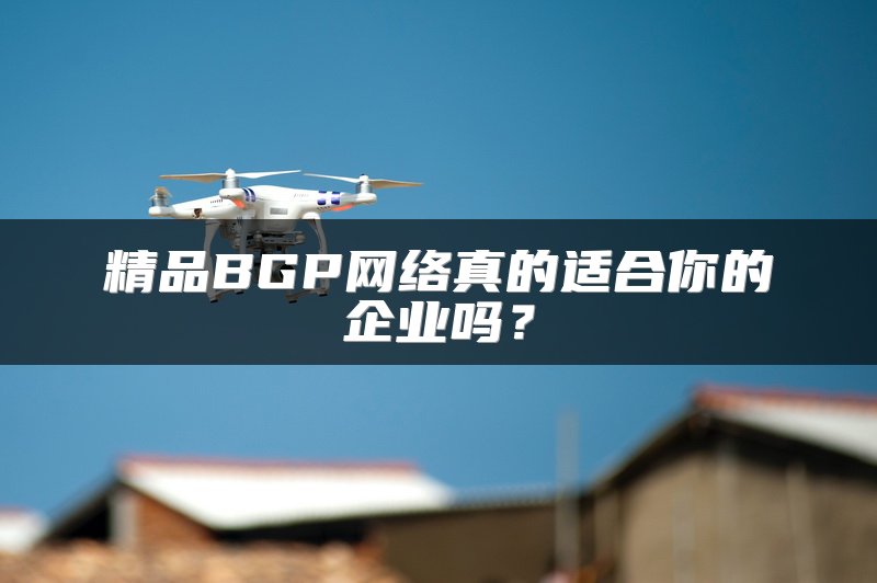 精品BGP网络真的适合你的企业吗？