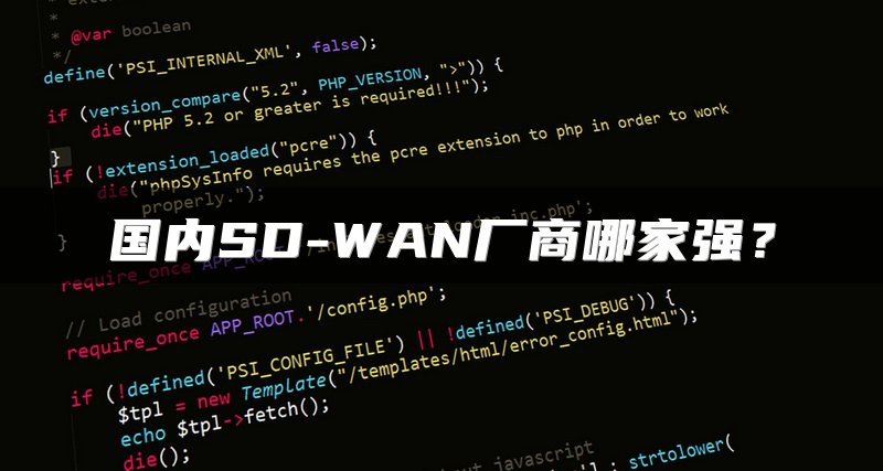 国内SD-WAN厂商哪家强？