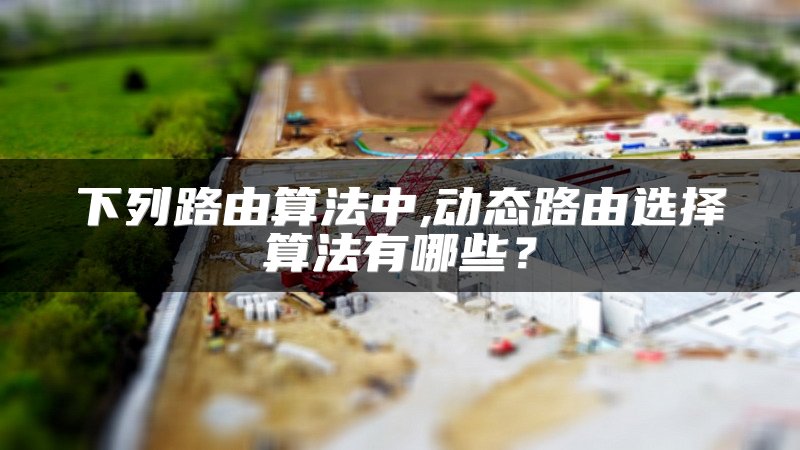 下列路由算法中,动态路由选择算法有哪些？