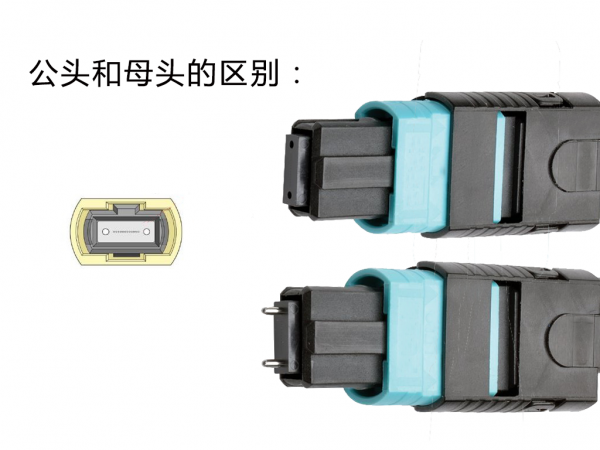 MPO跳线：公头与母头差异解析